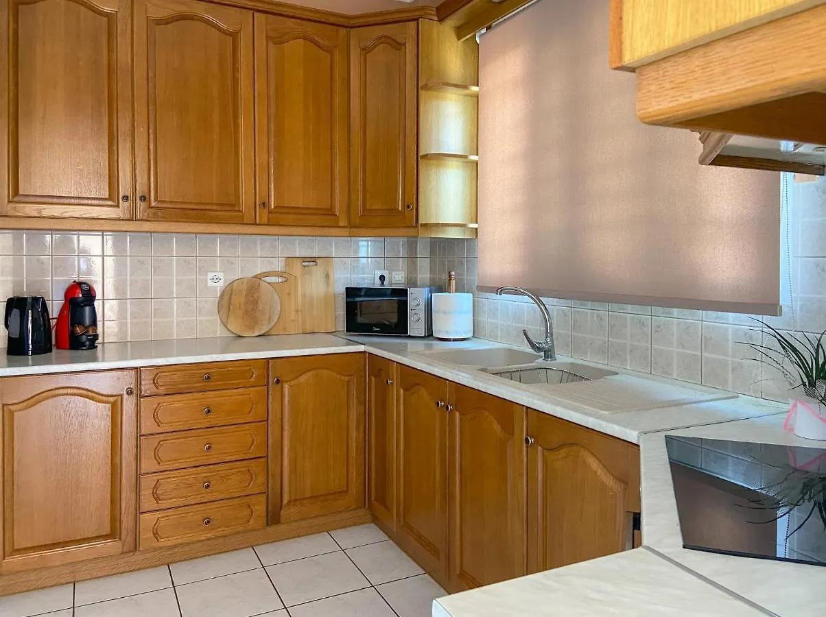 Fotis Apartment 阿尔戈斯托利翁